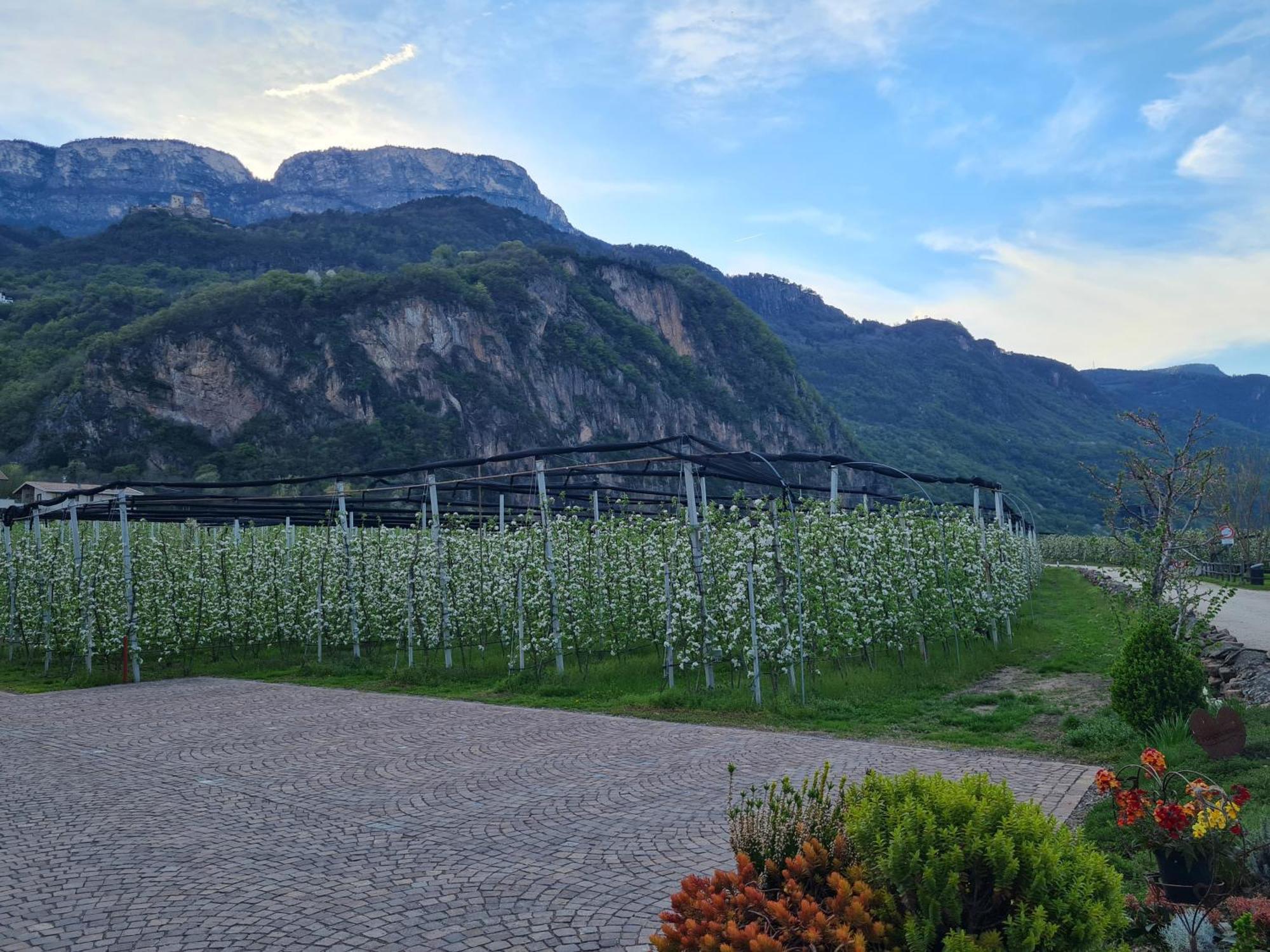 Versigglhof Appiano Sulla Strada Del Vino Exterior photo