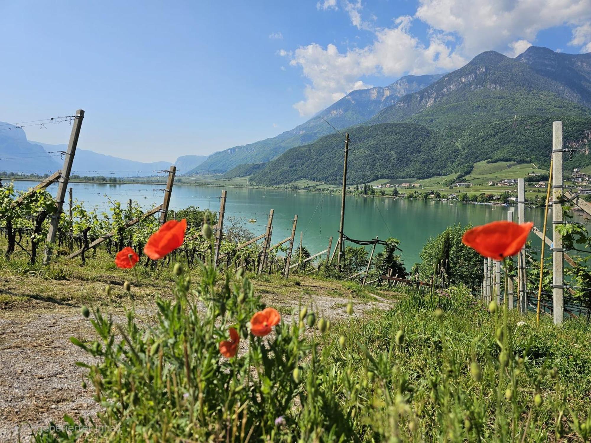 Versigglhof Appiano Sulla Strada Del Vino Exterior photo